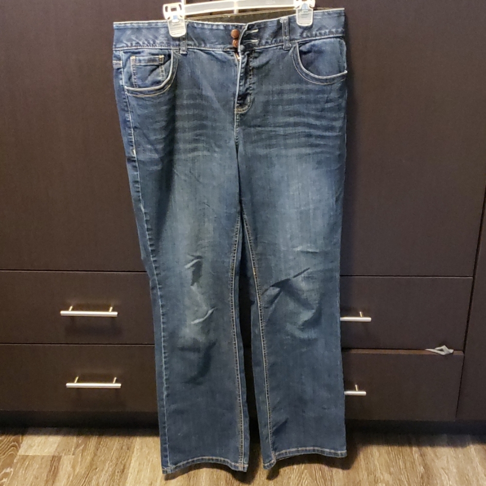 Lane Bryant Tighter Tummy Jeans